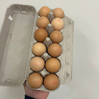Woodstock Paddock Eggs (1 Dozen)